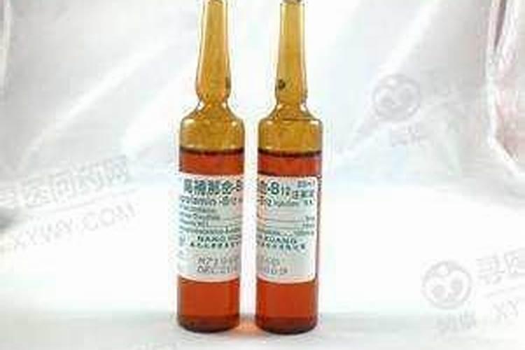 新种的玉露发现没有生根怎么办？玉露养了一个月没生根