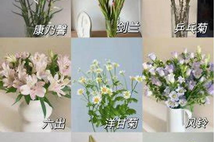 燕郊最大的农贸市场在哪里