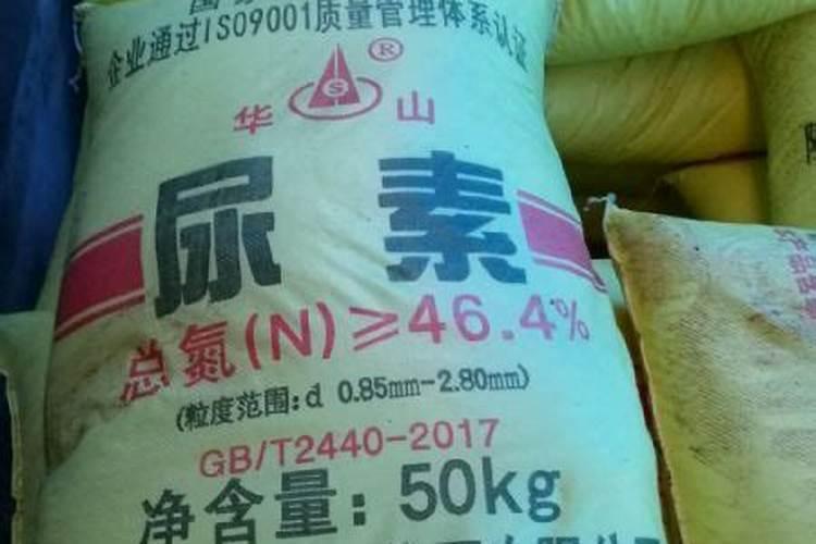 新型肥料应用技术上存在哪些问题？积累了哪些施肥技术经验