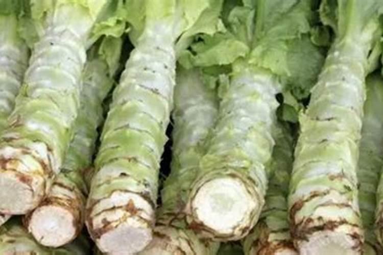 硼砂能当硼肥用吗硼砂在种植三青莴笋露地使用可以吗三青莴笋要是