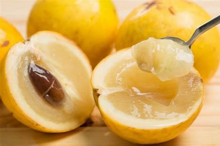 月季多久施一次肥