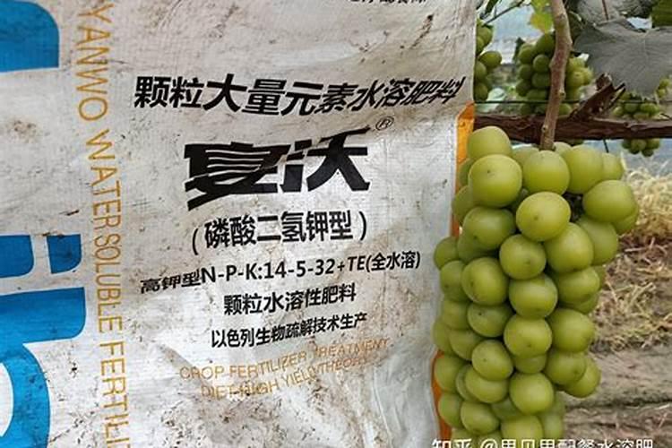 葡萄施肥时间和方法