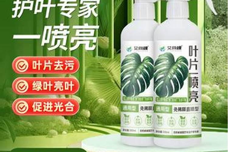 农民种地辛苦,却为何赚不到钱