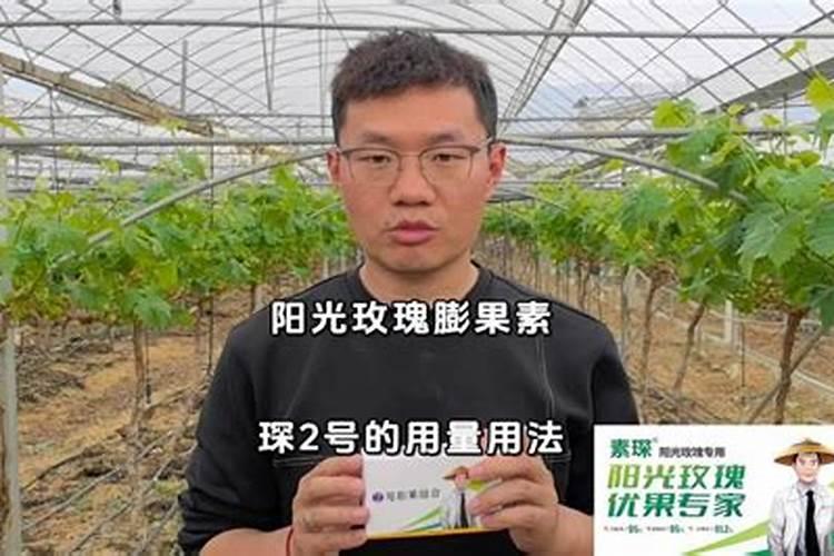 氮肥和磷钾肥能一起用吗 氮肥可以促进植物什么生长