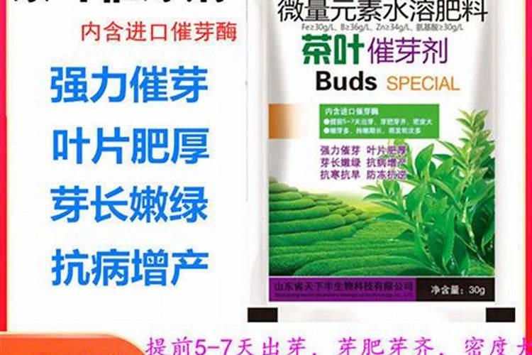 粉剂叶面肥冻了还能用吗？