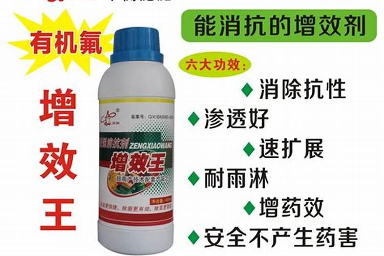 茄子生长施肥的注意事项,农户要注意了!