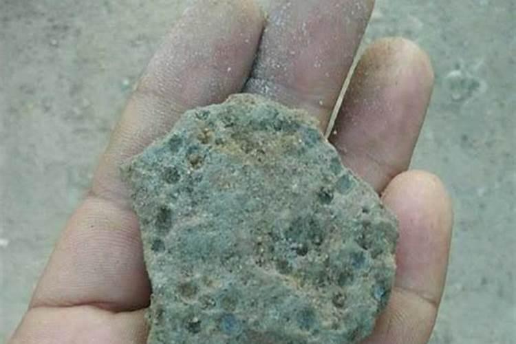 碗莲种子什么时候定值到土里比较好