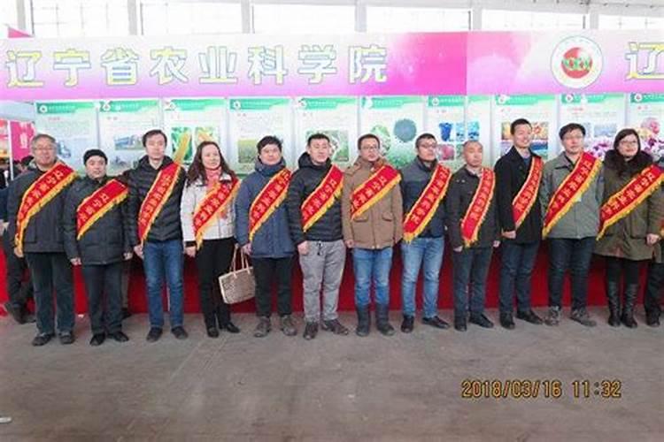 果树缺钙用什么肥料最适合