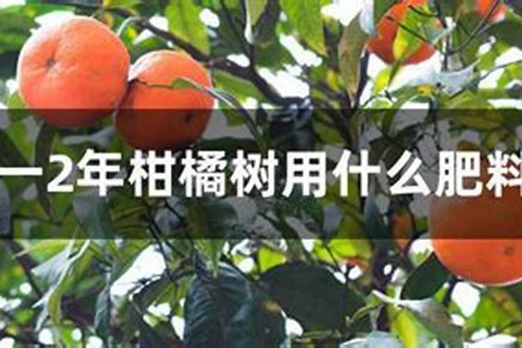 黄腐酸钾用得好能减少“2成”化肥量,矿源黄腐酸钾的作用于方法