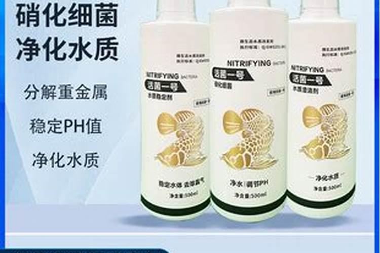 怎么确认硝化菌成功了 硝化菌是自养菌还是异养菌