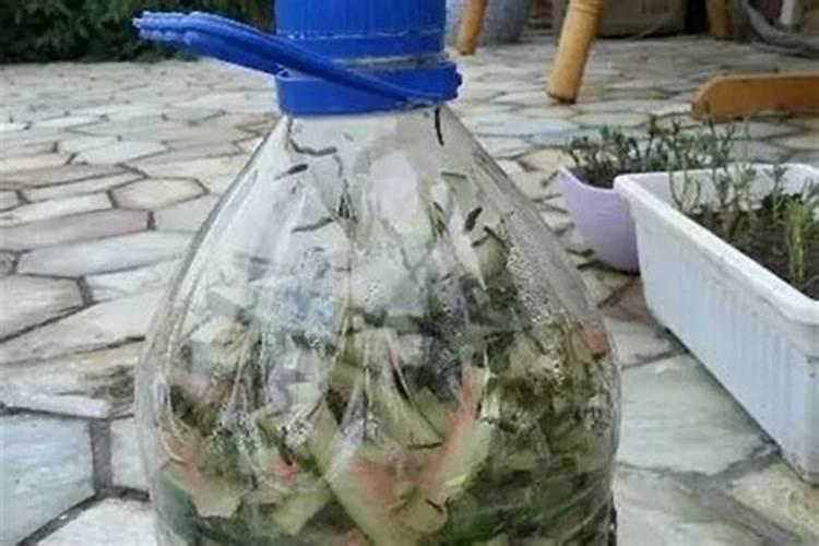 农村庭院种草坪有讲究吗