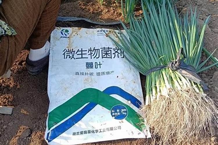 农用氮磷钾可以在水中施肥用吗？