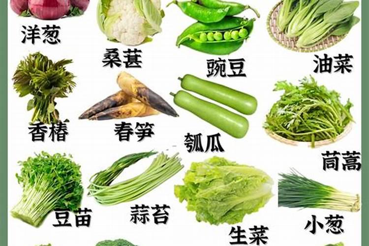 什么牌子的水溶肥好