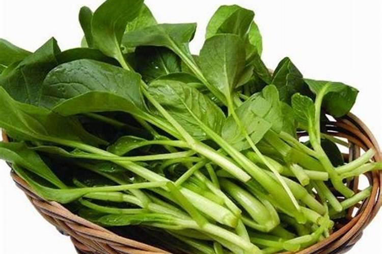 海藻富硒肥一吨多少钱