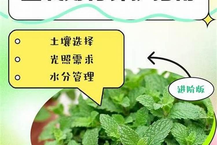 什么肥料施加给果树后能让果子长得又大又甜？