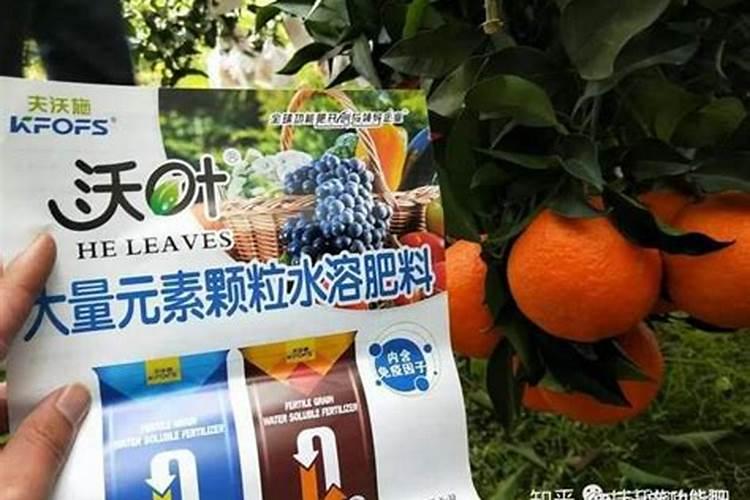 花叶子发黄怎么办