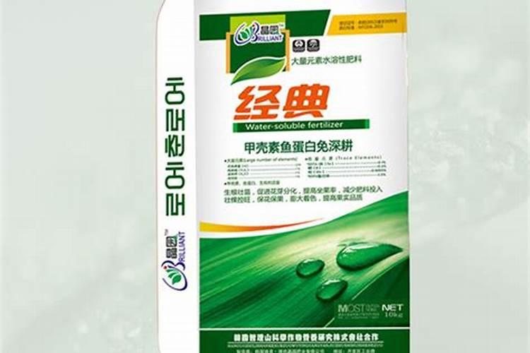 槟榔苗能不能浇水肥料