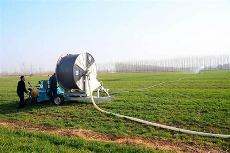 桃树谢花后打什么农药？怎样打药？