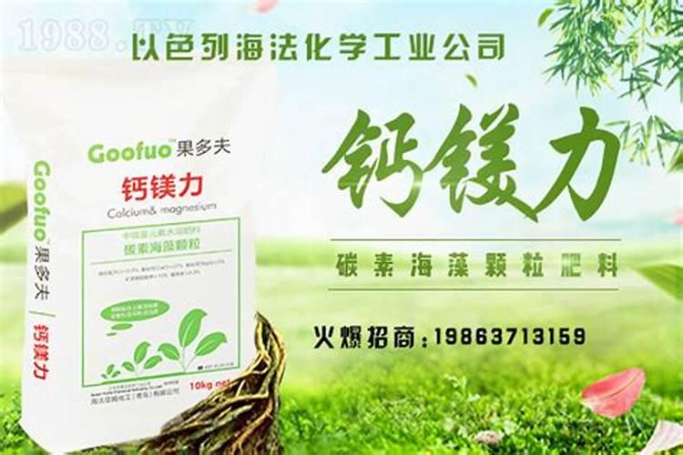 钙镁肥概念
