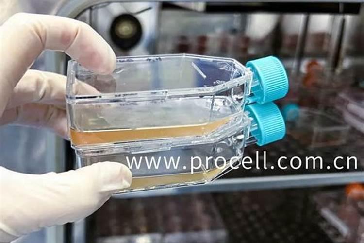 常见的三种复合肥