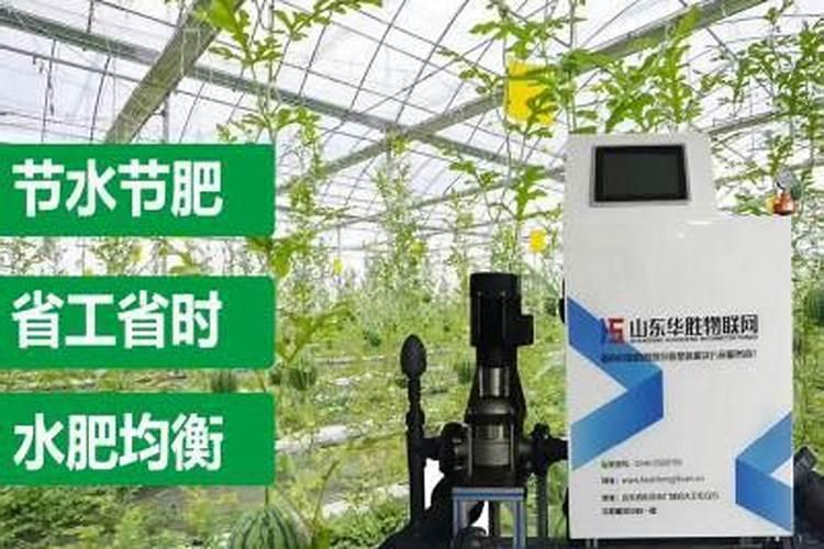 微生物菌肥生产厂家