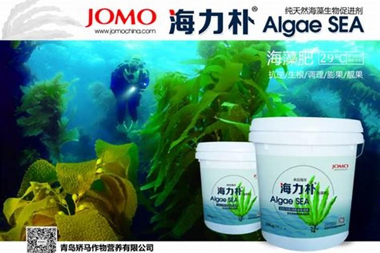 食用菌液体培养基中的麦麸煮汁是碳源还是氮源？