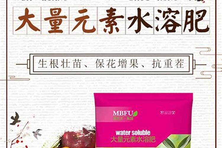 油菜种植一亩需要多少种子花卉百科