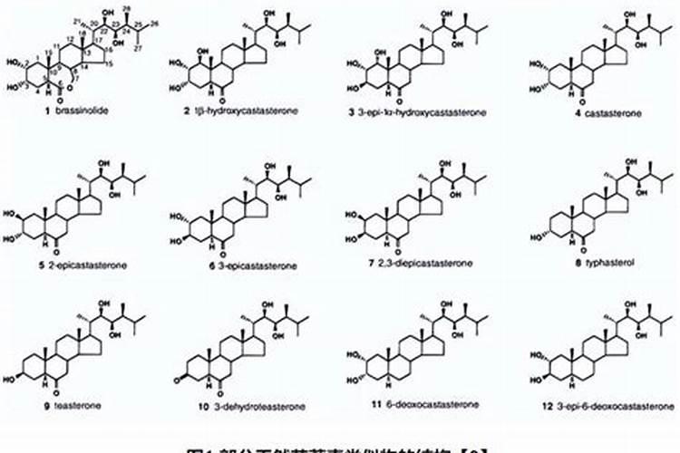 金湖县有几家生产复合肥厂家