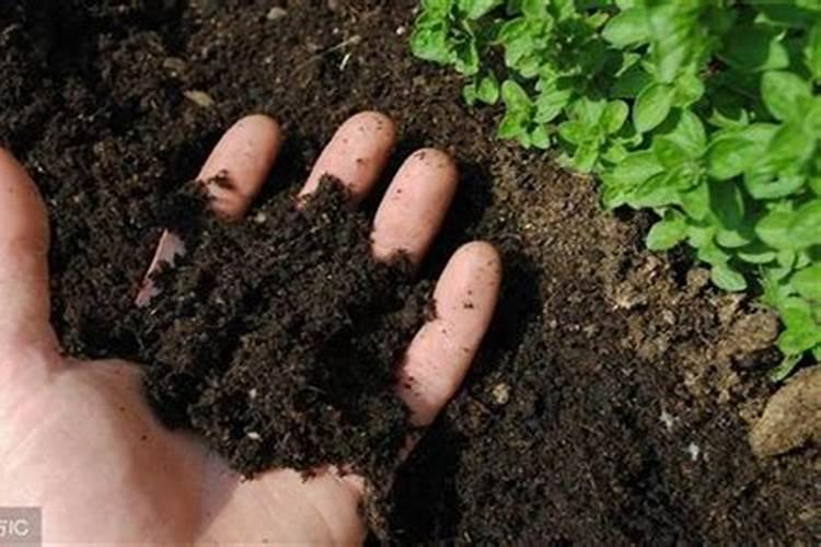 大庆石化化肥厂尿素的价格