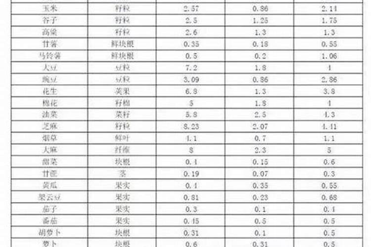 枇杷树怎样种植