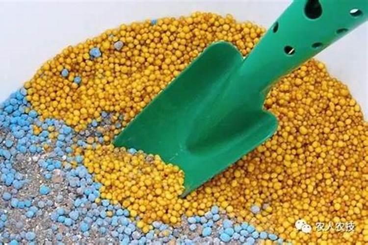 土豆追肥用什么肥料？用了这些肥料土豆养得活才怪