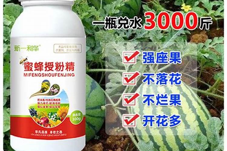 大棚西瓜增甜蓬果的肥料用什么好,还不能裂果