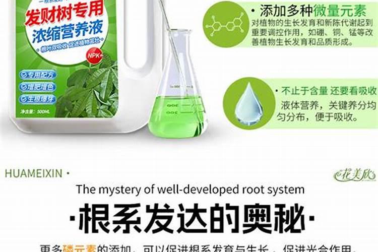 百香果施什么肥料最好