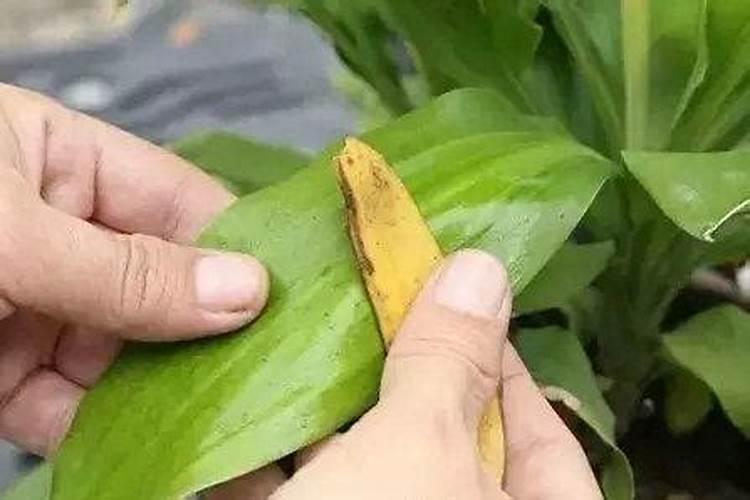 ...氟化氢氨,硫酸,硝酸,磷酸,二甲苯,对身体有影响吗？