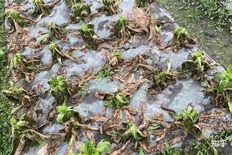 磁共振液氦低于40%还能用吗