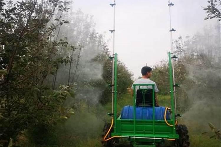 钾高的人吃西葫芦用焯水吗？