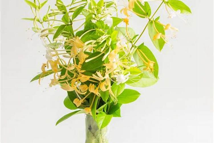 混合氨基酸铜能与肟菌戊唑醇混用吗