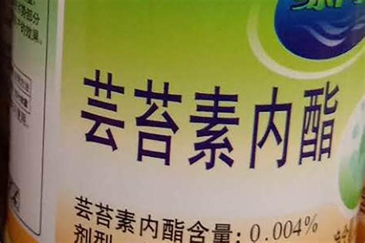 用芸苔素加尿素还是920加尿素