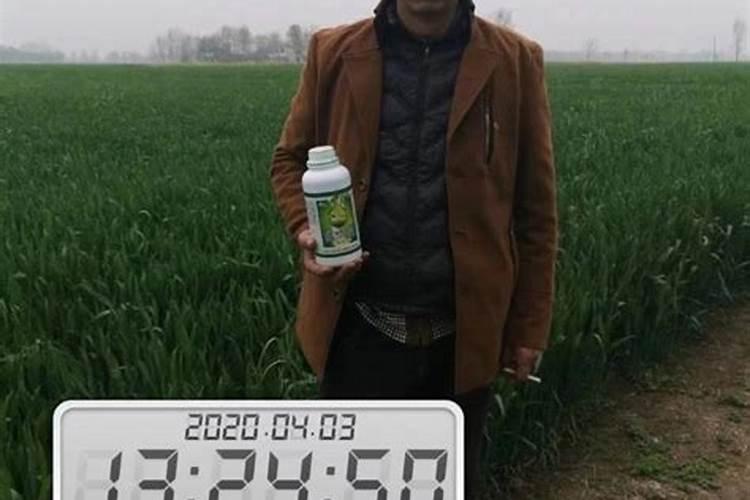 甲霜恶霉灵的四大害处