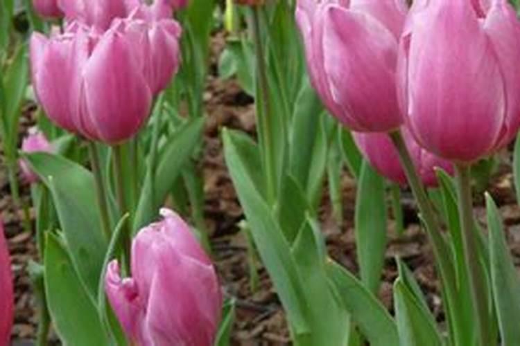 国家卫生标准规定的食用醋中酸度要求,检测方法？