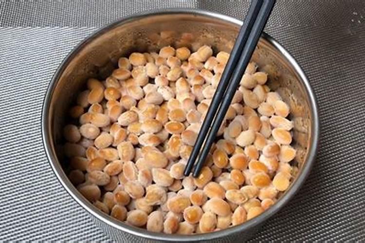 纳豆芽孢杆菌菌作用用途和产品功效