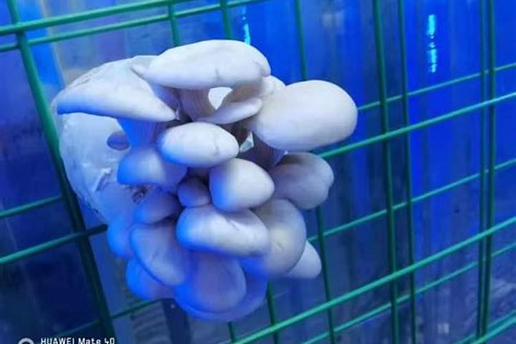 氯化钙能溶于水吗