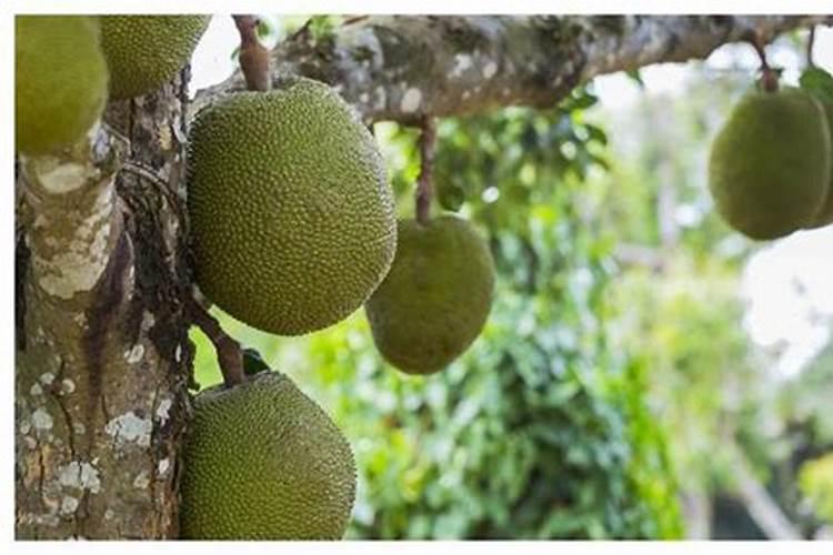 新农业的天选之子——悬浮聚谷氨酸型大量元素水溶肥,含量更高、更全面...