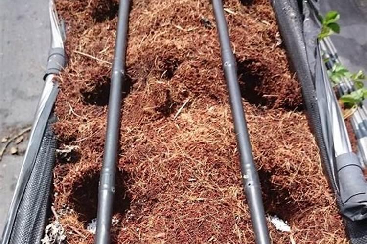 茄子底肥用什么肥料好？底肥用什么化肥好？