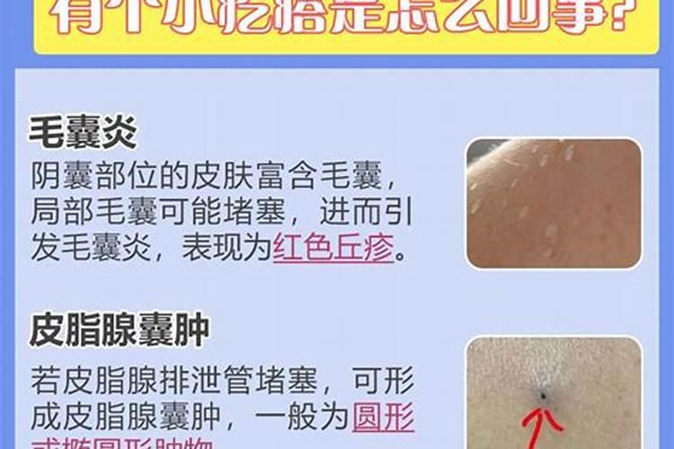 百泉一炮轰复合肥怎么样啊