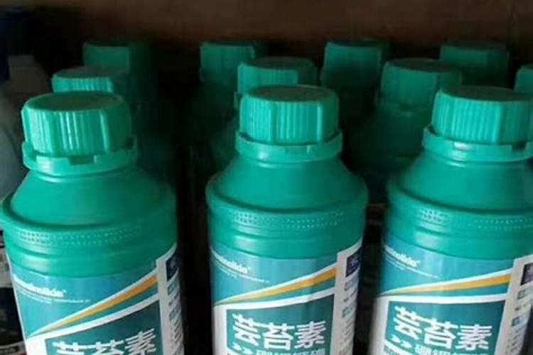 保花保果的药