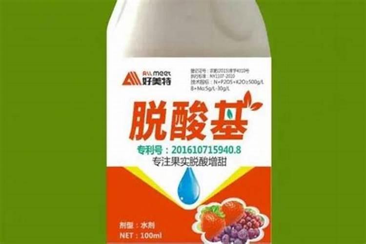 菠萝如何栽培及注意事项？