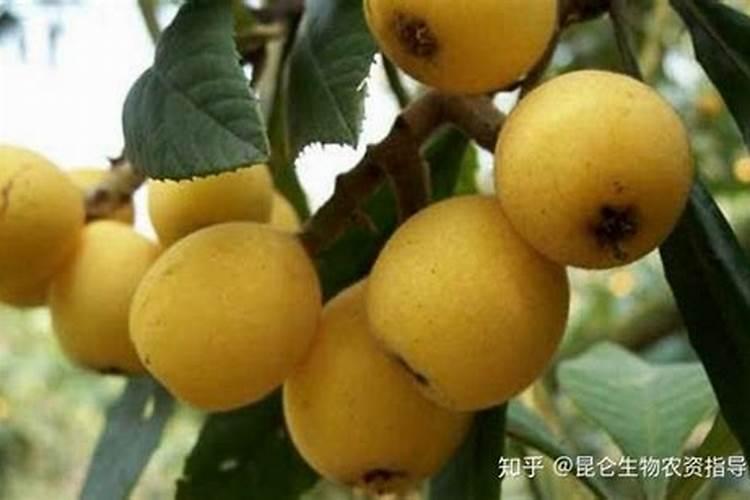 擦色宝面擦分油是什么原因