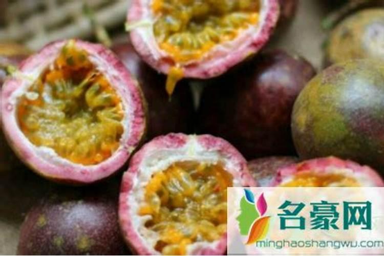 君子兰施什么肥最好