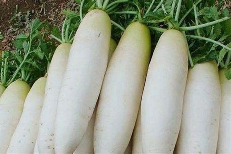 钙肥和大量元素混合冲施可以吗